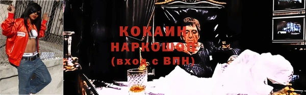 мдпв Няндома