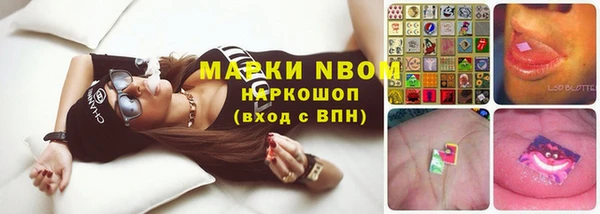 Альфа ПВП Новодвинск