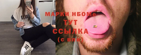 мдпв Няндома