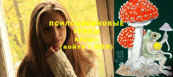 Альфа ПВП Новодвинск