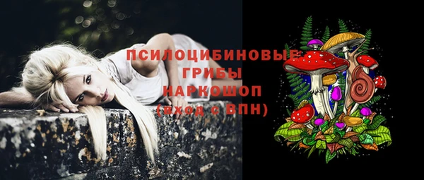 мдпв Няндома