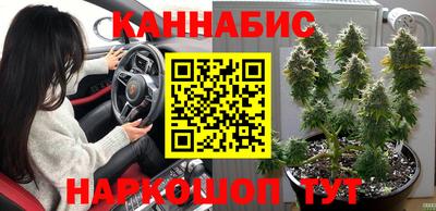 гашик Канаш