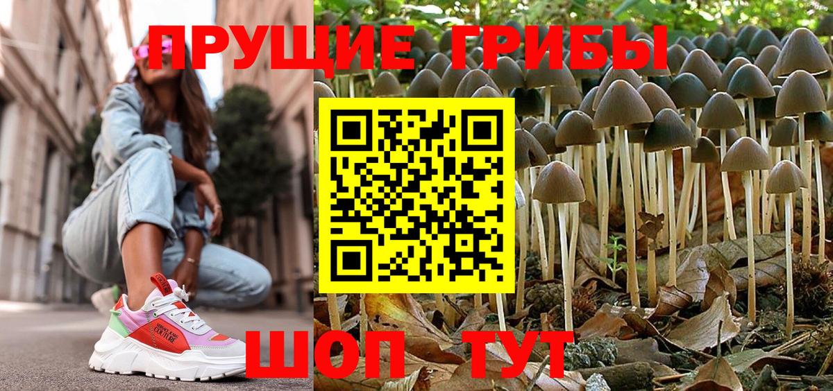 Псилоцибиновые грибы MAGIC MUSHROOMS  Вход с VPN  дарнет шоп  Черкесск  Псилоцибиновые грибы Magic Shrooms 