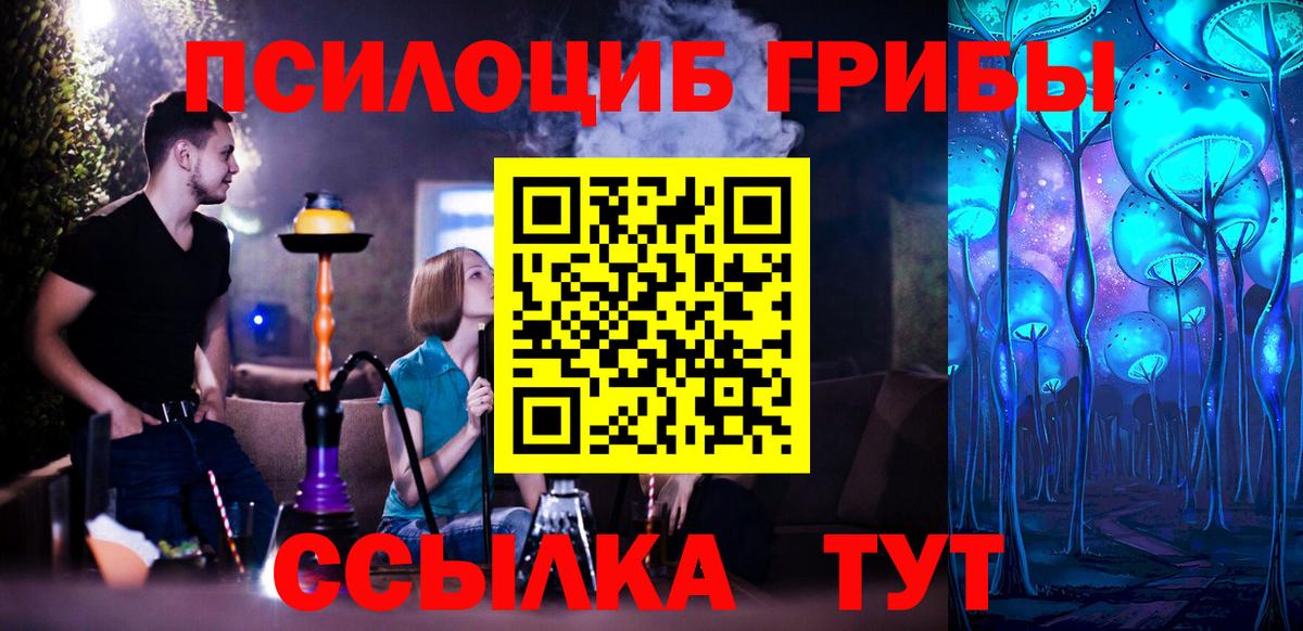 Псилоцибиновые грибы Psilocybine cubensis  Черкесск 