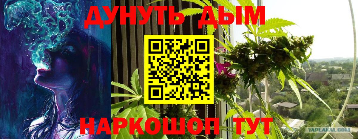 Бошки марихуана семена Черкесск